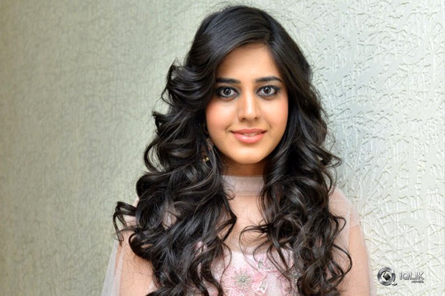 Simran-Pareenja-New-Photos